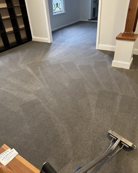Carpet Cleaning in Sandy Bay